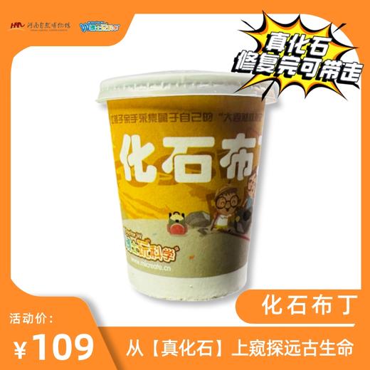 【河南自博-游馆】化石修复实验站 商品图4