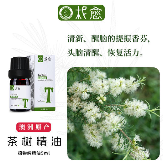 【柅愈】茶树纯精油5ml 澳洲原产茶树精油 单方纯精油 扩香/熏香/调油 商品图1