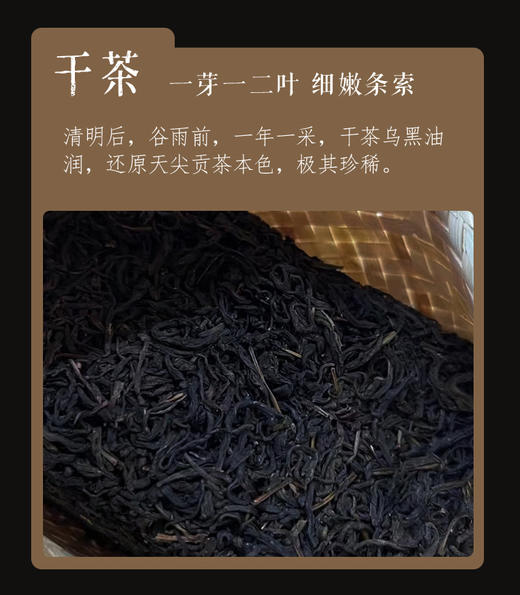 野为 | 2023年野生古树天尖60g尝鲜款 商品图1