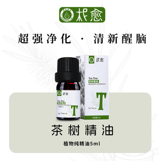 【柅愈】茶树纯精油5ml 澳洲原产茶树精油 单方纯精油 扩香/熏香/调油 商品图0