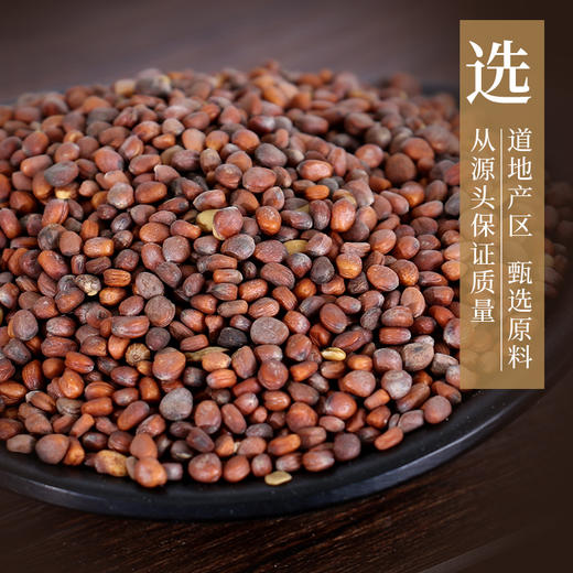 炒莱菔子 药食同源康美中药饮片 独立小包装 商品图3