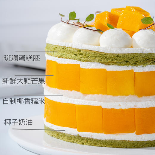 芒芒糯糯（储值会员8.5折） 商品图3