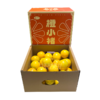褚小果冰糖橙 礼盒装  橙子 商品缩略图5
