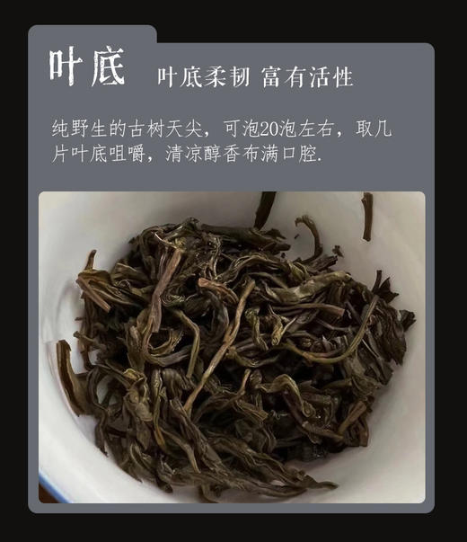 野为 | 2023年野生古树天尖60g尝鲜款 商品图4