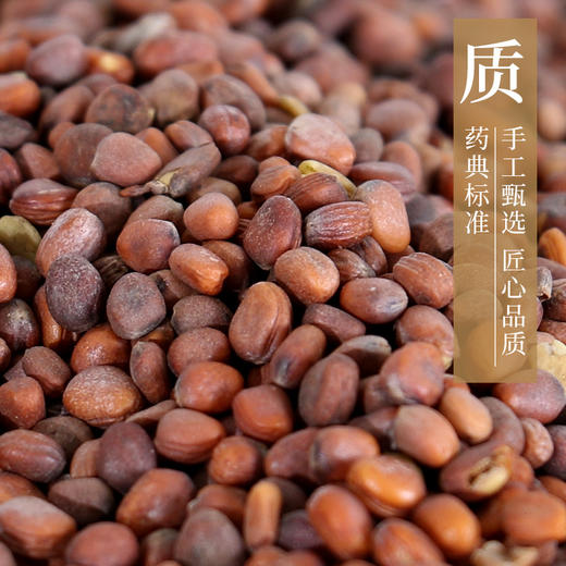 炒莱菔子 药食同源康美中药饮片 独立小包装 商品图2