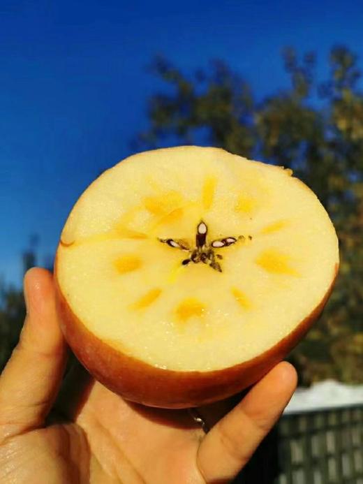 【产地优选】9.9元/每箱  云南 冰糖心丑苹果（3.5斤左右） 商品图4