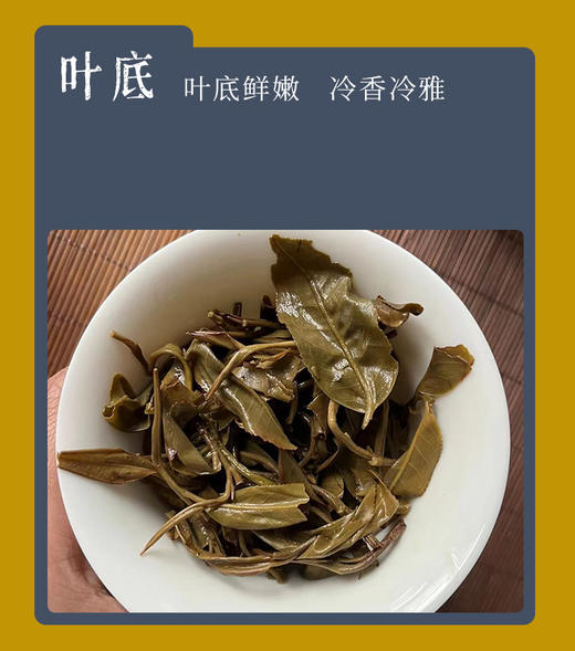 生普 | 【镇店之宝】洪海古树 2021年曼松贡茶 60G罐装散茶 商品图4