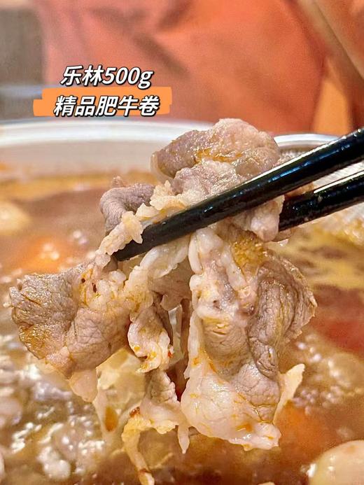 乐林-手提装牛肉片500g 商品图1