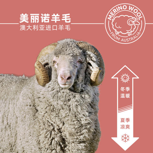 159元/2双ZEALWOOD赛乐THULE极北之地 美丽诺羊毛运动袜户外袜速干加厚防臭功能袜 商品图3