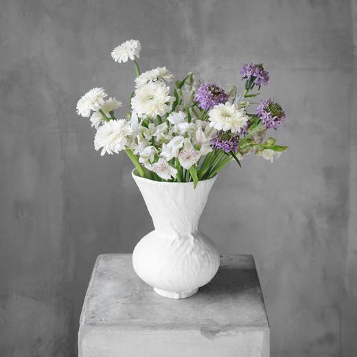 星野  Starry 商品图0