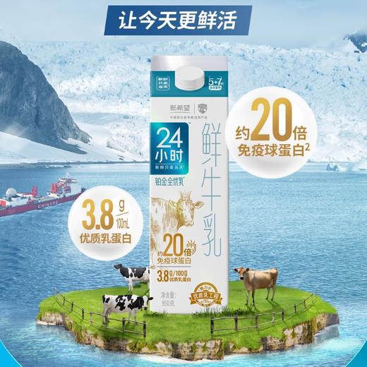 【雪兰订奶到家】铂金24小时鲜牛乳 | 屋顶盒 950g 配送上门【KM】 商品图0