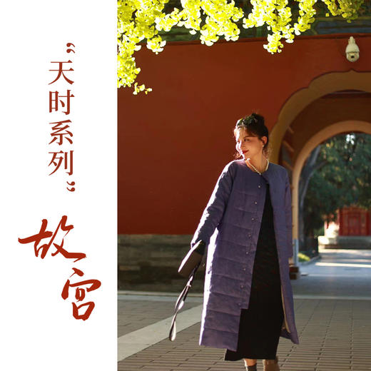 【抖音专属】棉服（内胆）（23802693L-延维） 商品图0