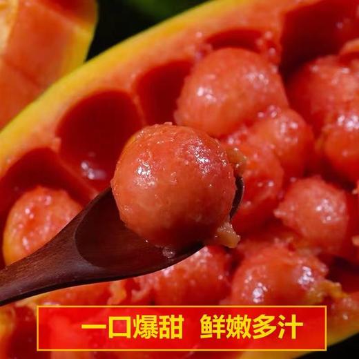 【产地直采】9.9元2颗红心木瓜 商品图1