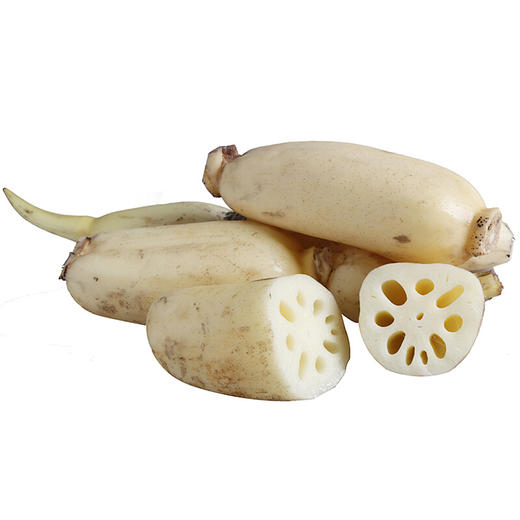 【严选】洪湖新鲜脆藕新花藕 1斤/3斤/5斤装（顺丰包邮）（厂家直发） 商品图2