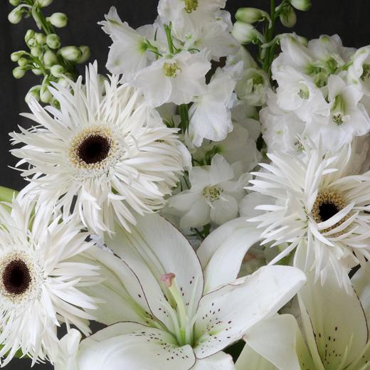 微光 Shimmer 商品图2