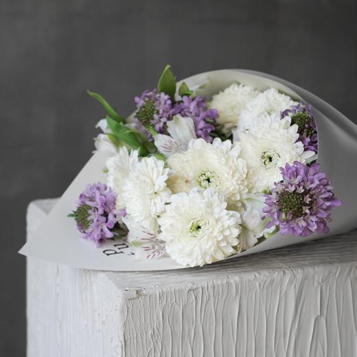 星野  Starry 商品图1