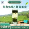【都匀毛尖】都匀布依妹一级绿茶75g/盒（礼盒装） 商品缩略图1