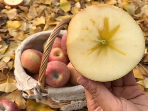 【MJ福利购】阿克苏红旗坡冰糖心特级苹果 商品图3