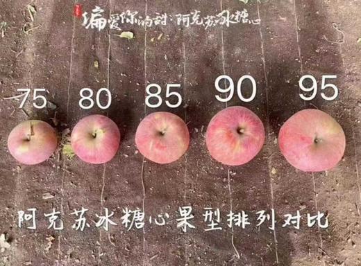 【MJ福利购】阿克苏红旗坡冰糖心一级苹果 商品图3