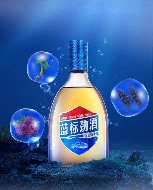 36°蓝标劲酒 500ml*2 礼盒装（赠毛铺尊享100ml*2瓶） 商品图1