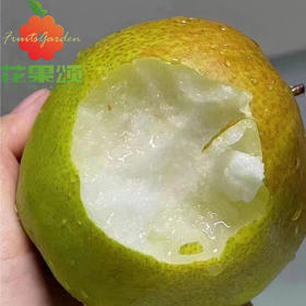 润派库尔勒香梨（1份3斤约12个）