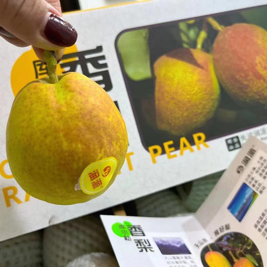 润派库尔勒香梨（1份3斤约12个） 商品图1