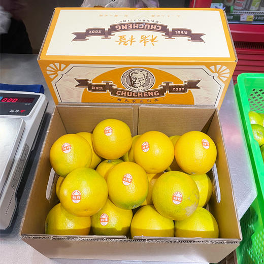 【C8】褚橙C8 5kg/件（商务送礼 精选大果） 商品图1