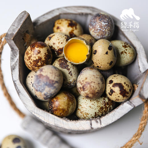 生态鹌鹑蛋| 绿家自产* Eco- quail egg | Self-production 商品图4