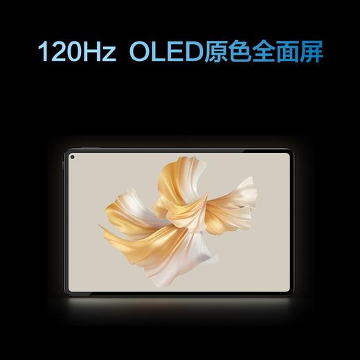 【一手样机】华为平板电脑 MatePad Pro 11  2022款 商品图2