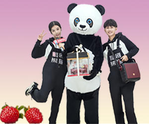 ♡杨枝甘露♡🔥「免费赠送1个熊猫人唱歌+跳舞+主持」 商品图1