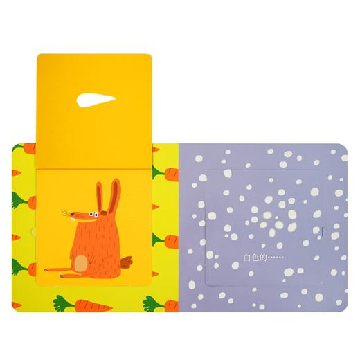 读小库《翻翻看》6册套装 颜色+里面有+数字+形状+动物+对对碰 商品图4