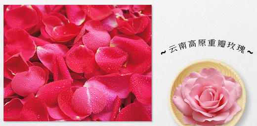 玫瑰鲜花饼 商品图2
