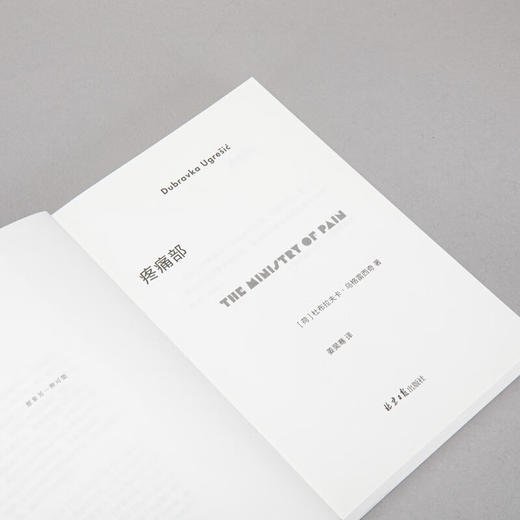 【微瑕包邮】疼痛部（荷）杜布拉夫卡·乌格雷西奇 著 商品图5