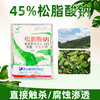 大鹏45%松脂酸钠果树清园茶园清园防治粉介壳虫矢尖蚧杀虫剂农药 商品缩略图4