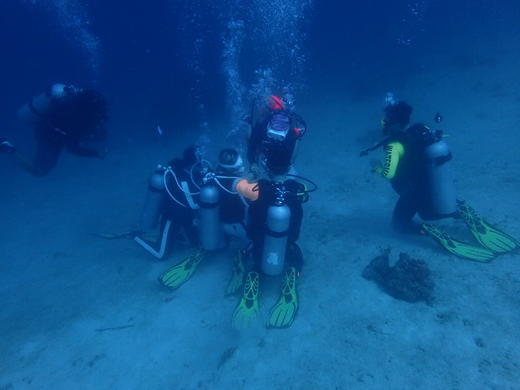 【菲律宾】5月1日-5月5日可考证，安尼洛潜水4日，7299元/人！ 商品图1