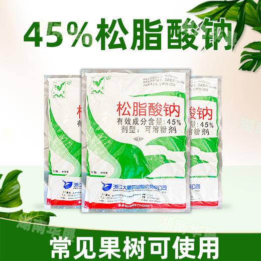 大鹏45%松脂酸钠果树清园茶园清园防治粉介壳虫矢尖蚧杀虫剂农药 商品图2