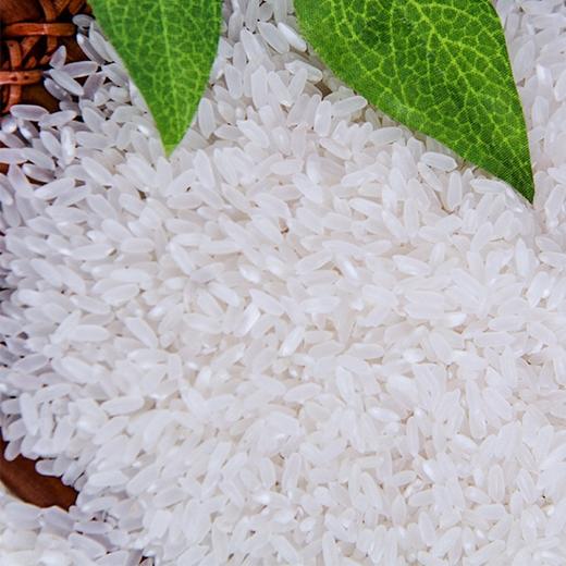 秋然清香稻米 5kg/袋【NB】 商品图4