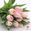 【单瓣郁金香】 王朝 10枝一扎 商品缩略图4
