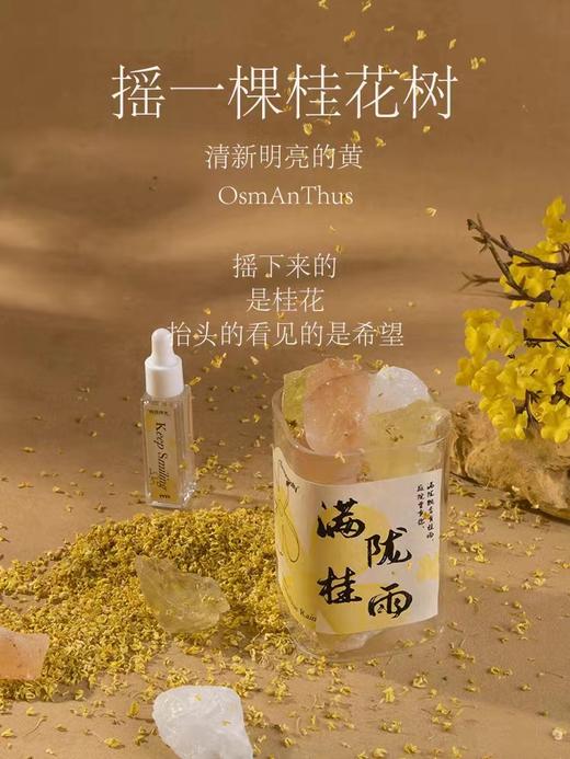 艾玛莫莉香薰系列 商品图10