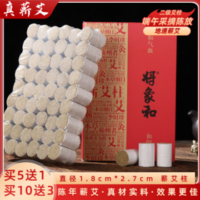 二级艾柱