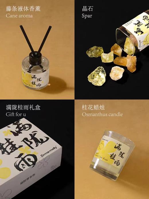 艾玛莫莉香薰系列 商品图8