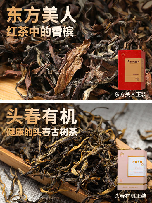 凤宁号 | 高端红茶集合10*4G/盒 商品图2