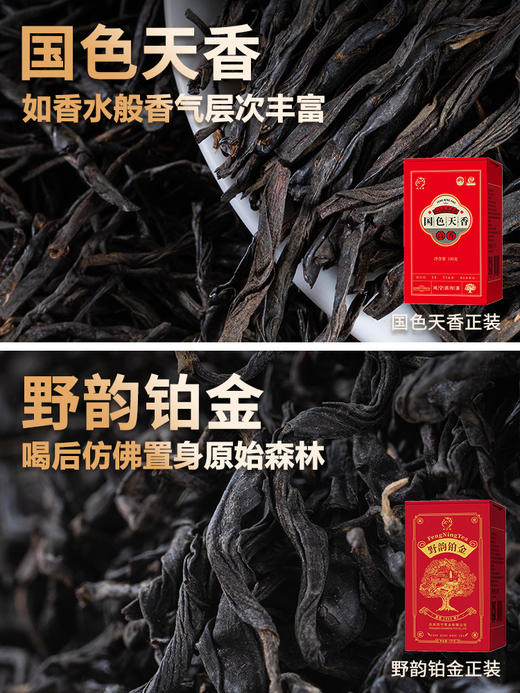 凤宁号 | 高端红茶集合10*4G/盒 商品图1