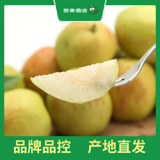 PAGODA百果园 A级-孔雀河畔香梨（大）5斤装 商品图2