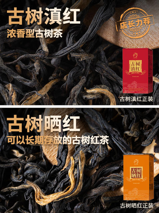 凤宁号 | 高端红茶集合10*4G/盒 商品图5