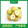 PAGODA百果园 A级-孔雀河畔香梨（大）5斤装 商品缩略图4