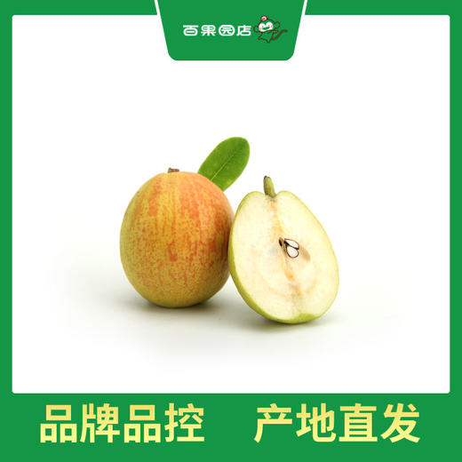 PAGODA百果园 A级-孔雀河畔香梨（大）5斤装 商品图5