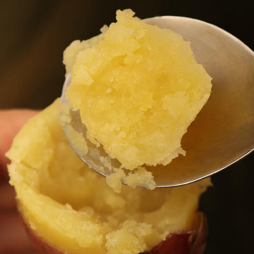 【海南好物】花皮板栗薯 4.5-5斤装 商品图0