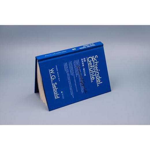 新民说·眩晕  （塞巴尔德小说处女作，目眩神迷的“存在之书”）（德）温弗里德·塞巴尔德 著 商品图2