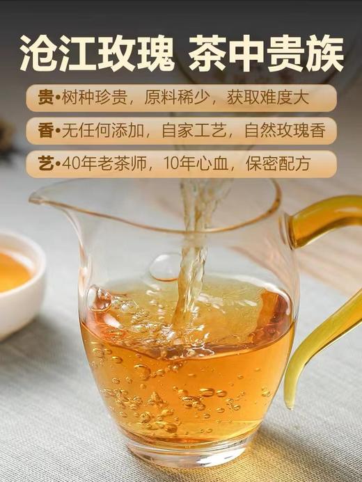 凤宁号 | 2025年沧江玫瑰48G/罐 商品图1
